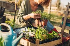 Torf adé: Durch die bewusste Entscheidung für torffreie Gärtnern werden wertvolle Moore geschützt. Foto: DJD/toom/cherryandbees - stock.adobe.com