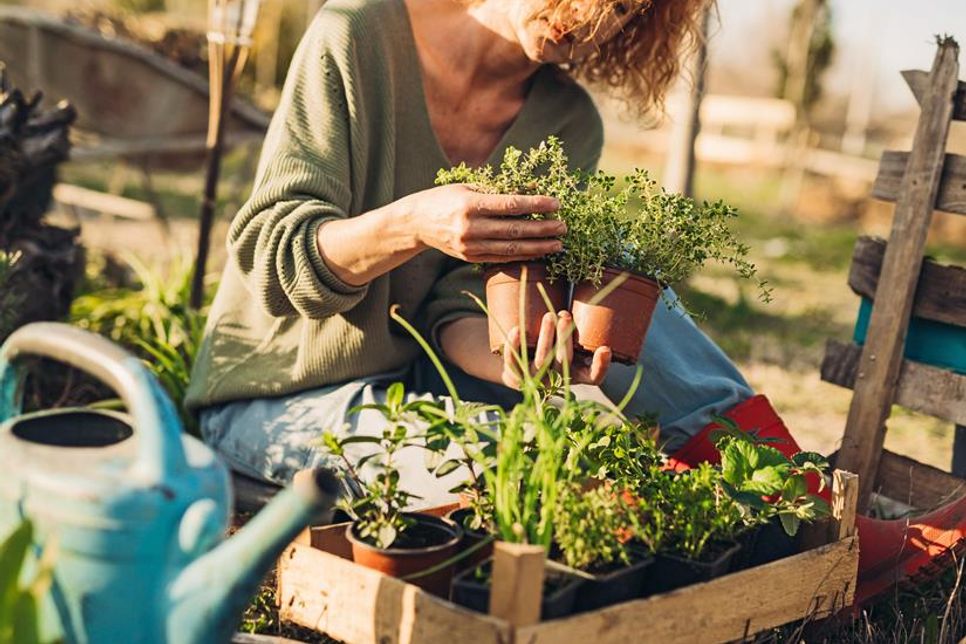 Torf adé: Durch die bewusste Entscheidung für torffreie Gärtnern werden wertvolle Moore geschützt. Foto: DJD/toom/cherryandbees - stock.adobe.com