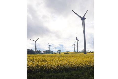 Aus Artenschutzgründen hat die Gemeinde Stockelsdorf die Ausweisung einer möglichen Eignungsfläche für Wind­energie verworfen.