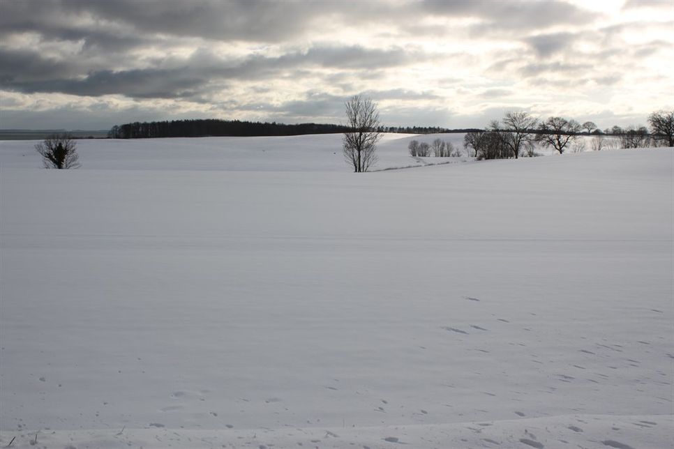 Schneebedeckte Winterlandschaft so weit das Auge reicht.