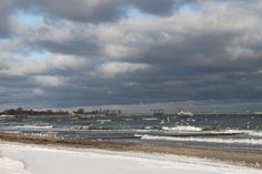 Nur die Heringsmöwe überwintert in Südeuropa oder Afrika. Alle anderen Möwenarten fühlen sich auch im Winter, wie hier in Kellenhusen, an der Ostseee pudelwohl.