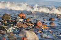 Auch Details haben das Zeug für aussagekräftige Fotos, wie Caren Voecks Aufnahme vom Rosenfelder Strand zeigt.