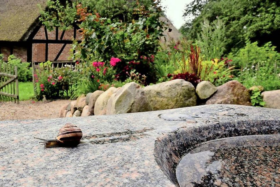 Die persönlichen „Entdeckungen im Pfarrhof“ möchte der Freundeskreis in einem Fotowettbewerb für einen Jahreskalender bis zum 8. September zusammentragen.