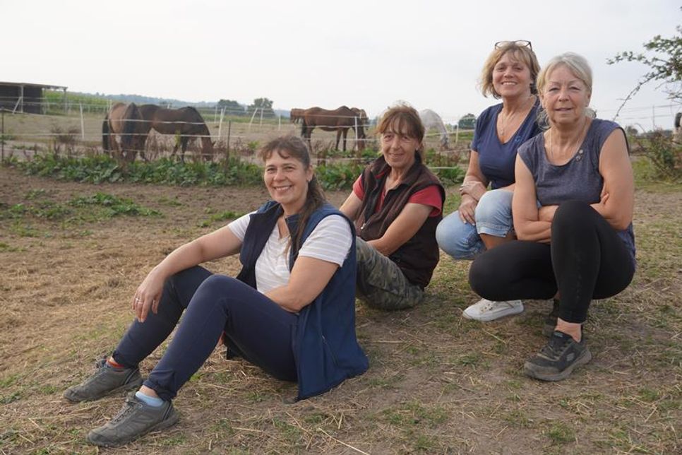 Für sie ist der Pferdeschutzhof Phönix ein echtes Herzensprojekt: Marion Weinberg, erweiterter Vorstand, Bärbel Kraft-Schulze, 1. Vorsitzende, Marion Hoffmann, erweiterter Vorstand, und Ulrike Buuck-Diedrich, ehrenamtliche Helferin (v. lks.).