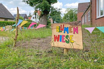 Auf einem 250 Quadratmeter großen Areal an der Breitenauschule entsteht eine Blumenwiese und …