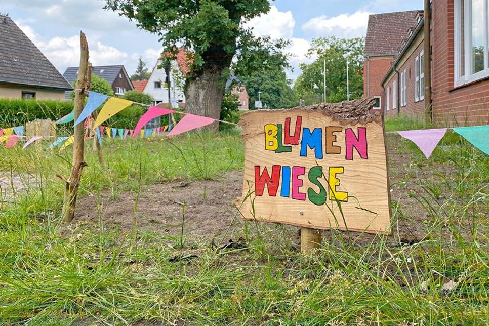 Auf einem 250 Quadratmeter großen Areal an der Breitenauschule entsteht eine Blumenwiese und …