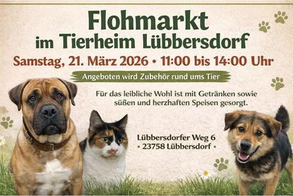 Flohmarkt im Tierheim