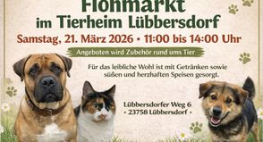 Flohmarkt im Tierheim