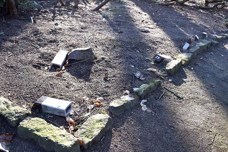 Die kleinen Grabsteine mit Nummern liegen teilweise zerstreut umher. (Foto: René Kleinschmidt)