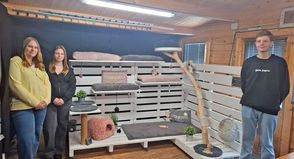 Eine hochwertige Katzenluxuslandschaft