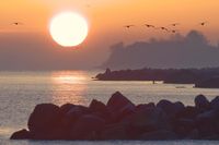 Sonnenaufgang mit Buhnen, Neben und Vogelzug - alles, was das Fotografenherz begehrt. Anke Jeggle hat diesen stimmungsvollen Sonnenaufgang an der Niendorfer Steilküste fotografiert.
