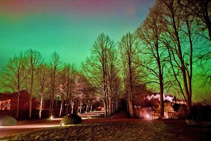 Der nächtliche Himmel: Über dem Schlossgebiet strahlen grünliche und rötliche Polarlichter.