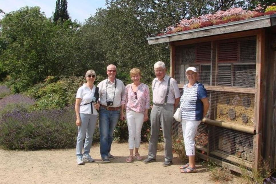 Neustadt/Pinneberg. Kürzlich besuchten Senioren das Arboretum Ellerhoop bei Pinneberg. Bei idealem Wetter genossen die Mitreisenden ihren Aufenthalt in der 17 Hektar großen Parkanlage. Garteninteressierte haben sich inspirieren lassen oder einfach die Schönheiten des Parks genossen. (red)