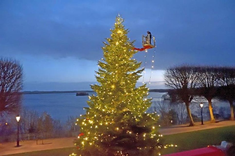Ein Stück Beständigkeit: Obwohl das zehnte „Anleuchten“ Corona - bedingt nicht stattfinden kann, steht wieder ein ausladender Christbaum auf der Schlossterrasse. Schon fast perfekt ausgeleuchtet präsentiert sich die „Fielmanntanne 2020“ bei einem ersten Lichttest in der Dämmerung.