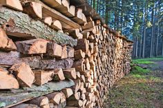 Regionales Brennholz gibt es auch beim örtlichen Forstamt. Trägt das Holz das PEFC-Zeichen, stammt es aus garantiert nachhaltig bewirtschafteten Wäldern. (Foto: djd/PEFC)