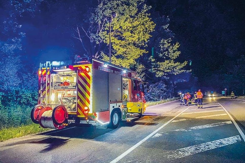 Auf zirka einem Meter Breite verteilte sich die verlorene Gerste über einige hundert Meter in Richtung Ratekau.