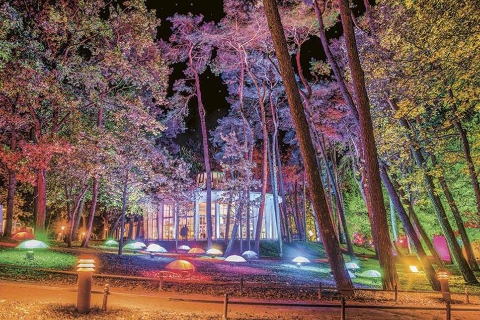 Das diesjährige Lichterfest von Timmendorfer Strand taucht den Strandpark wieder in ein besonderes Licht und steht erstmals unter einem Motto. (Foto: TSNT/Vollbrecht)