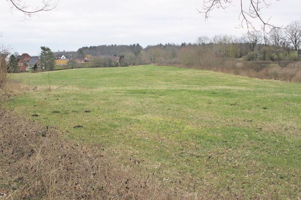 Auf dieser Fläche in Schönwalde soll ein neuer Edeka-Markt entstehen.