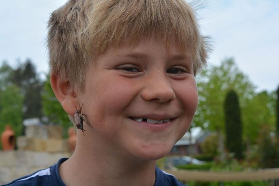 Im Garten machte Linus (7) Bekanntschaft mit einem Maikäfer.