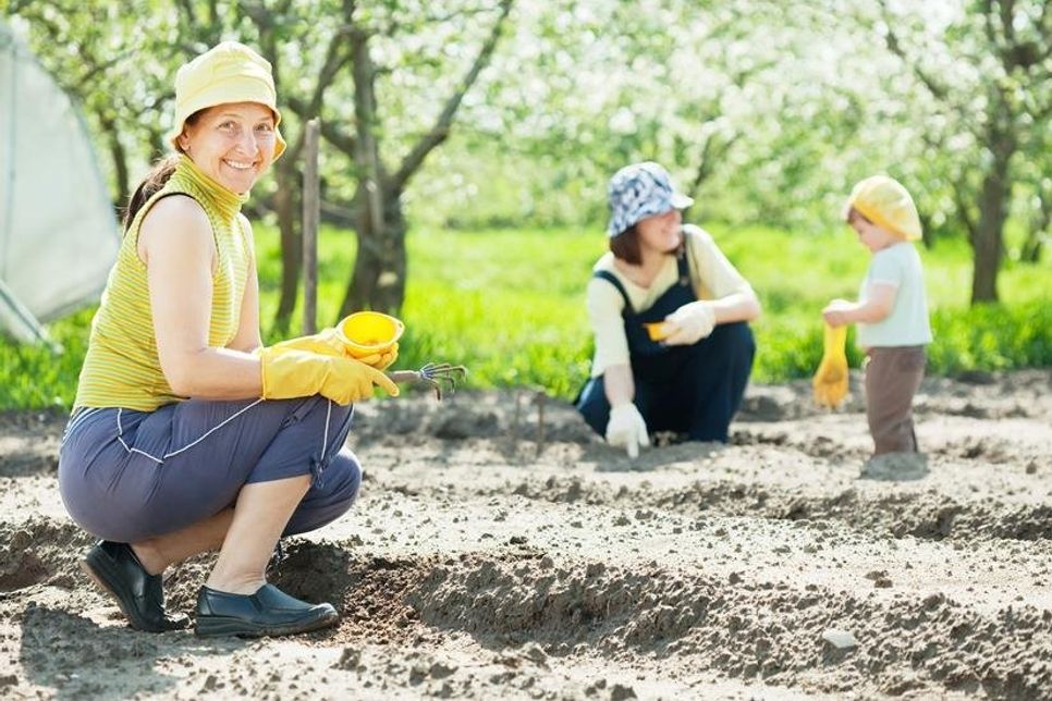 Die Gartenarbeit hat jetzt Hochsaison. Wer gerne im Kreis Ostholstein im Garten werkelt, sollte unbedingt seinen Impfschutz gegen Tetanus überprüfen.