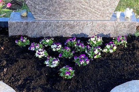 Die liebevoll bepflanzte Ruhestätte am Freitag.