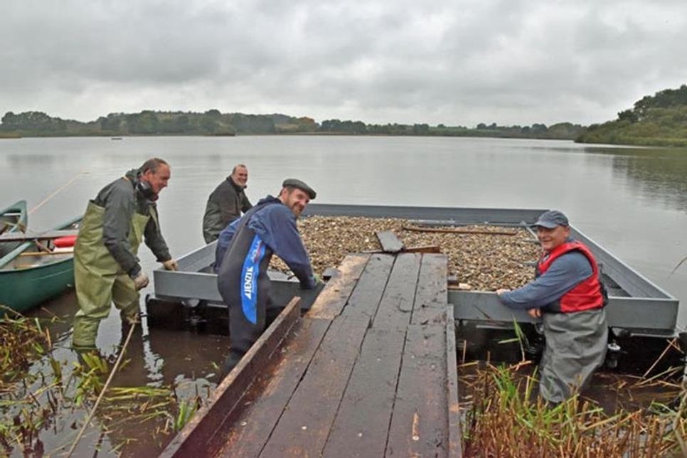 Mit vereinten Kräften schieben Bernd Koop, Friitz Heydemann, Malte Göpel und Jens Rethwisch (v. l.) das Brutfloß ins etwas tiefere Wasser, damit es beim Beladen mit drei Tonnen Kies schwimmfähig bleibt. Die künstliche Insel muss weit in die Mitte des Gewässers hinausgeschoben werden...