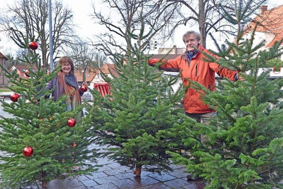 Dr. Birgit Böhnke und Axel Langfeld haben mit einem Arbeitskreis die Plöner Innenstadt in einen Winterwald verwandelt.