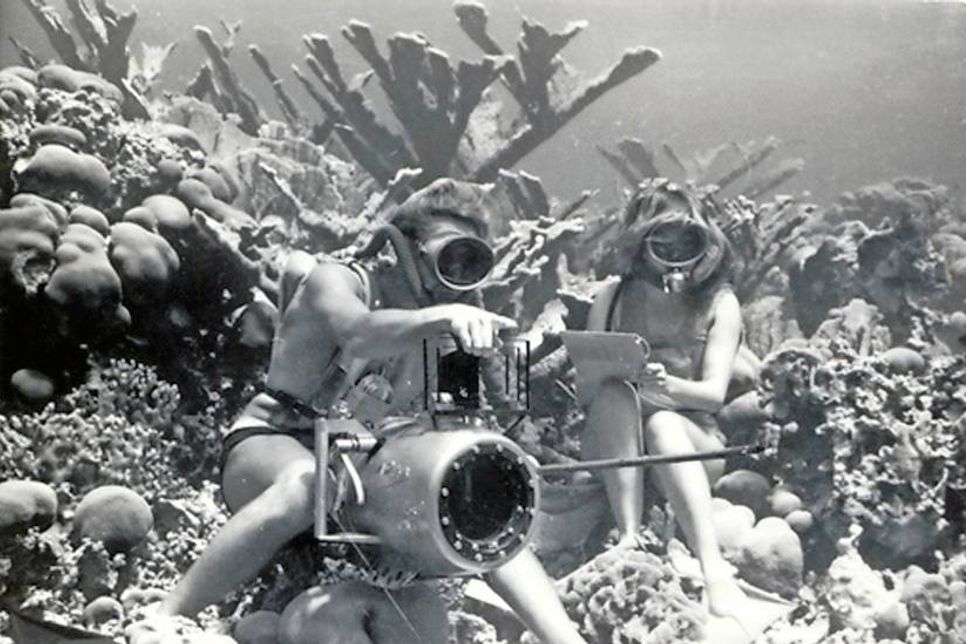 Ein Dokumentarfilm über den Meeresforscher Hans Hass bildet den Auftakt zu verschiedenen Veranstaltungen zum 25. Jubiläum des Umwelthauses.