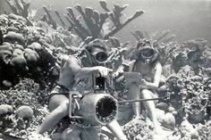 Ein Dokumentarfilm über den Meeresforscher Hans Hass bildet den Auftakt zu verschiedenen Veranstaltungen zum 25. Jubiläum des Umwelthauses.