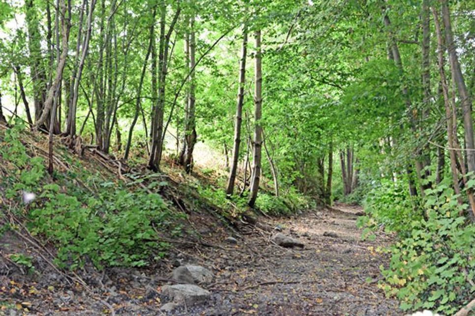 Derzeit präsentiert sich das von toten Muscheln bedeckte künstliche Wasserbett fast wie ein Wanderweg