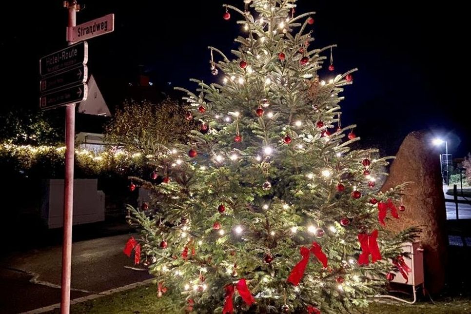 Weihnachtsbaum in der Ortsmitte von Rettin.