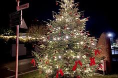Weihnachtsbaum in der Ortsmitte von Rettin.