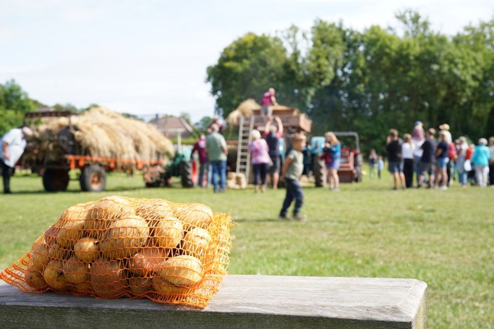 Überall waren die orangefarbenen Netze mit den selbstgeernteten Kartoffeln zu sehen.
