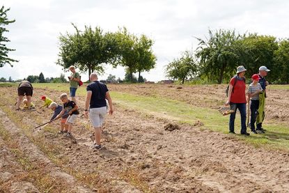 Die Kartoffelernte erforderte viel Körpereinsatz und war richtig anstrengend.