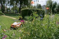 Bunte Vielfalt statt monotoner Flächen: Blühstreifen und Blühinseln aus heimischen Pflanzen tragen zu mehr Biodiversität im eigenen Garten bei. Foto: djd/STIHL