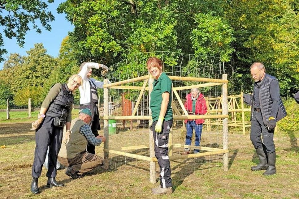 Der Förderverein baut zudem noch Schutzzäune, um junge Bäume vor Wildtieren besser absichern zu können