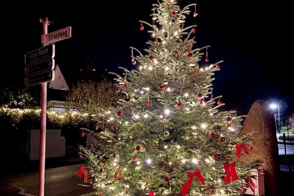Auch in diesem Jahr wird der Rettiner Weihnachtsbaum am 1. Advent von den Mitgliedern des Ortsbeirates geschmückt.