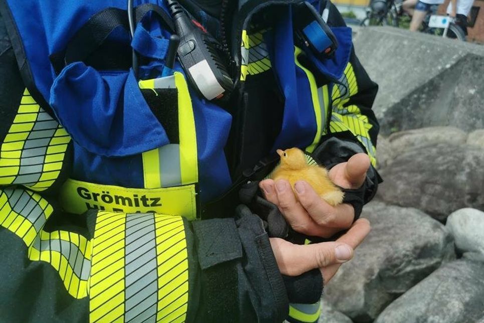 Feuerwehr beendet Ausflug des Kükens.