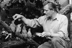 Heinz Sielmann mit jungen Spechten bei den Aufnahmen zu „Zimmerleute des Waldes“, dessen Version für das Institut für Film und Bild in Wissenschaft und Unterricht vom Dorf- und Schulmuseum Schönwalde am 27. Februar gezeigt wird. © Heinz-Sielmann-Stiftung