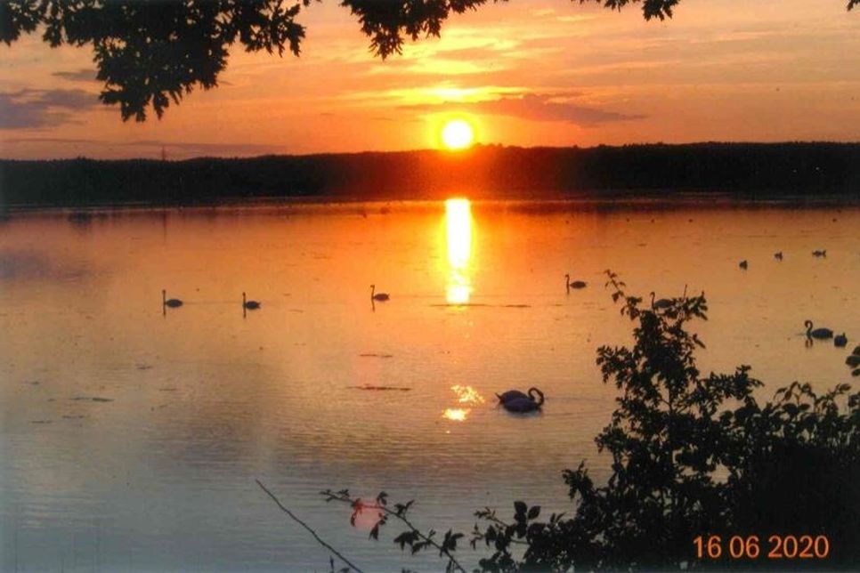 Foto: Marianne Fiedler.