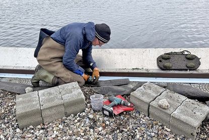 Die Bleche sollen den Ratten den Zugang unmöglich machen.