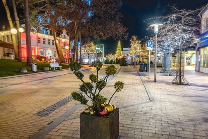 Für die Aktion „Timmendorf strahlt“ sucht die Aktivgruppe Handel & Gewerbe wieder Baumpaten.
