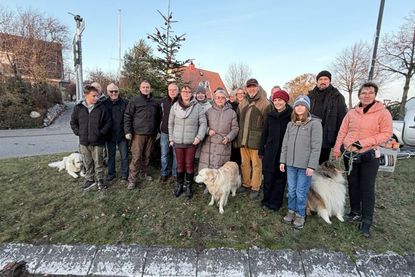 Alle Beteiligten hatten viel Spaß beim Baumschmücken.
