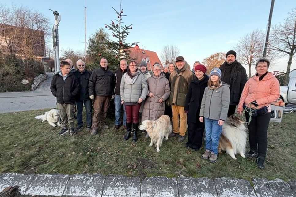 Alle Beteiligten hatten viel Spaß beim Baumschmücken.