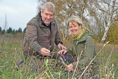 Jürgen Hicke und Christina Mohwinkel freuen sich über die ersten Farbtupfen, die sich trotz des fortgeschrittenen Herbstes in den Blühstreifen am Schluensee zeigen.