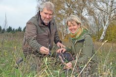 Jürgen Hicke und Christina Mohwinkel freuen sich über die ersten Farbtupfen, die sich trotz des fortgeschrittenen Herbstes in den Blühstreifen am Schluensee zeigen.