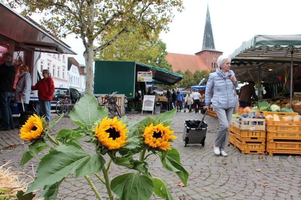 Alles rund um den Apfel, gab es auf dem Wochenmarkt.