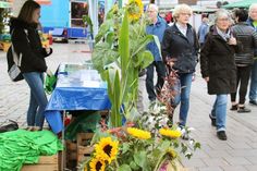 „Hallo Herbst“, sagte am vergangenen Freitag nicht nur das Wetter.