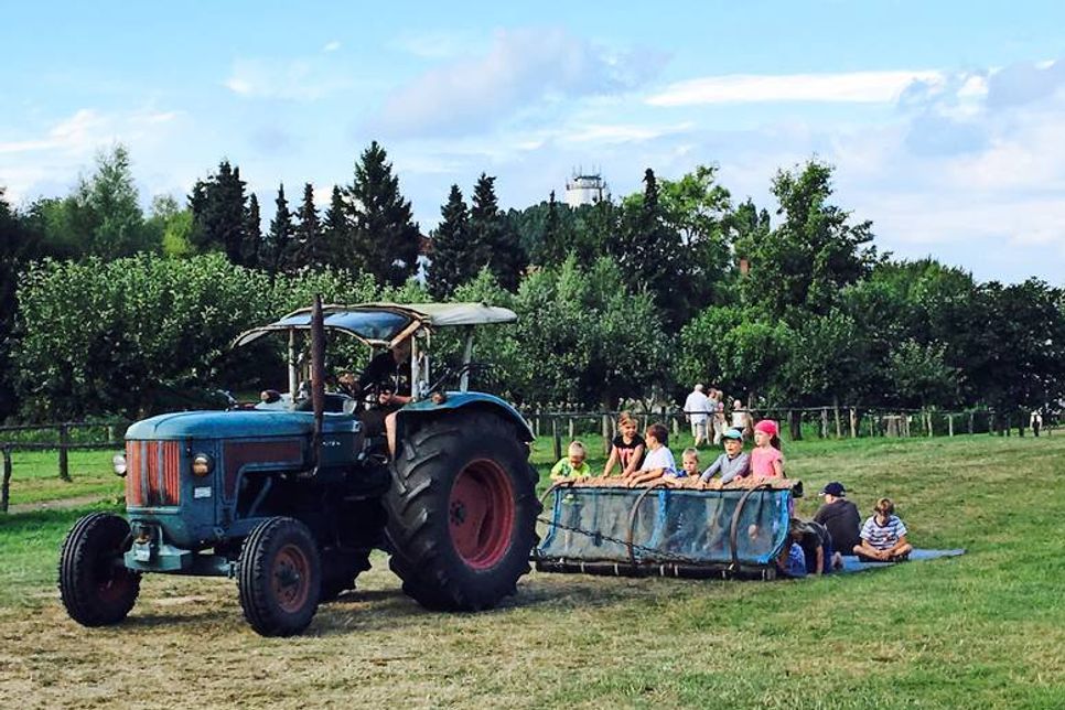 Für großes Vergnügen sorgte die Teppichrutsche, mit der man sich über das Feld ziehen lassen konnte.