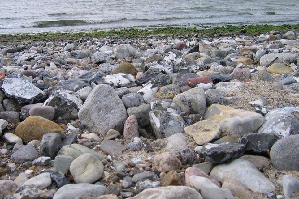 Neustadt. Am Freitag, dem 10. Januar können in der „Archäologischen Sprechstunde“ im zeiTTor Museum zwischen 15 und 17 Uhr Fundstücke vorgestellt werden. Es werden Scherben, Versteinerungen, Steingeräte und alles was „alt“ ist bestimmt. Es dürfen gerne skurrile Objekte dabei sein. Wer keine Fundstücke hat, ist ebenso willkommen. In der gemütlichen Runde gibt es immer Interessantes zu sehen. Der Eintritt dazu ist frei. (red)